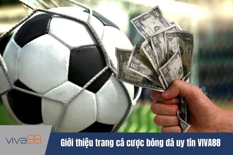 Giới thiệu trang cá cược bóng đá uy tín VIVA88