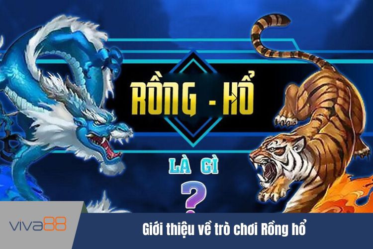 Giới thiệu về trò chơi Rồng hổ