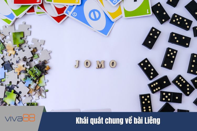 Khái quát chung về bài Liêng