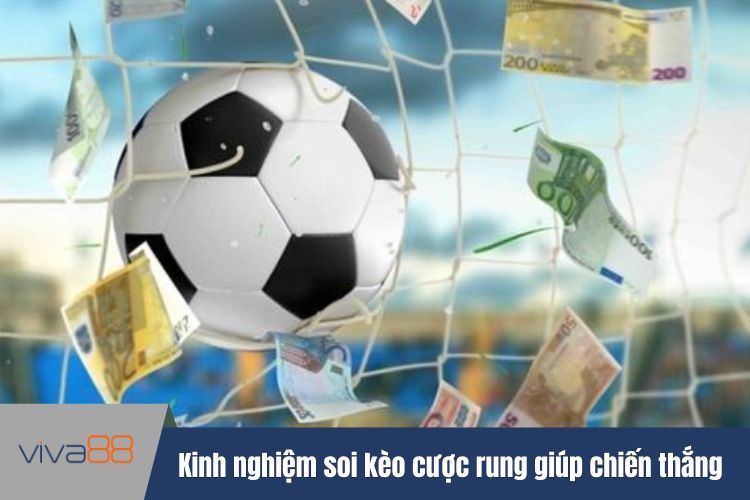 Kinh nghiệm soi kèo cược rung giúp chiến thắng