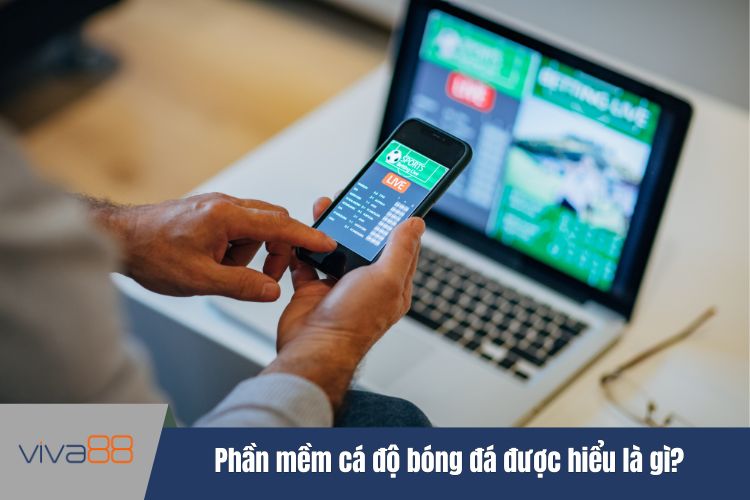 Phần mềm cá độ bóng đá được hiểu là gì?