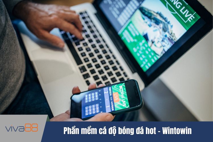 Phần mềm cá độ bóng đá hot - Wintowin