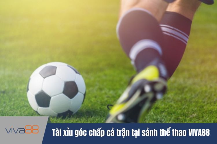 Tài xỉu góc chấp cả trận tại sảnh thể thao VIVA88