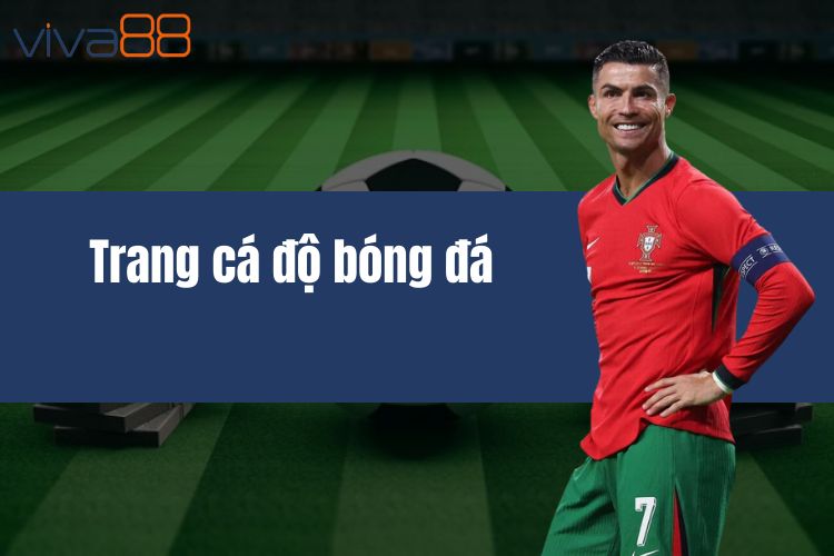 Trang cá độ bóng đá - Bật mí bí quyết thắng lớn tại VIVA88