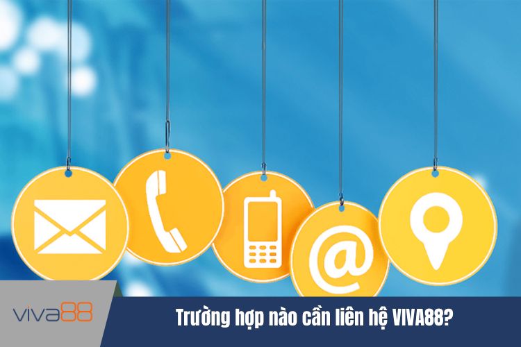 Trường hợp nào cần liên hệ VIVA88?